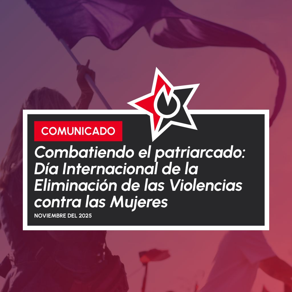 Imagen de Portada de Comunicado de Movimiento Solidario Vida Diga sobre Combatiendo el Patriarcado: Día Internacional de la Eliminación de las Violencias contra las Mujeres